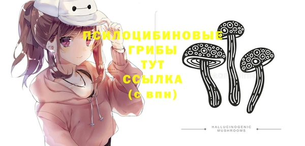 синтетический гашиш Алексеевка