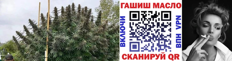 ТГК вейп  Межгорье 